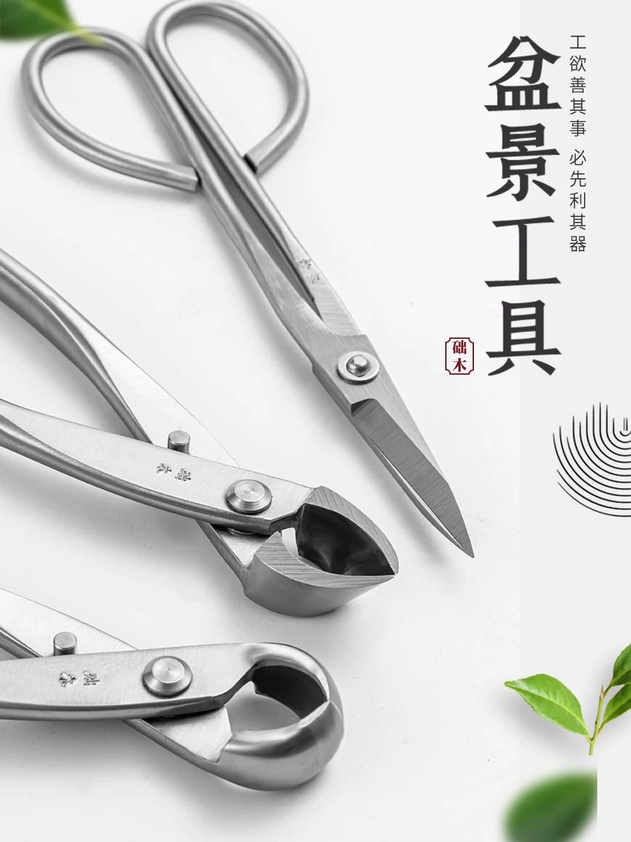Bonsai Tool Set - Ensemble d'outils pour bonsaï (3 pièces)