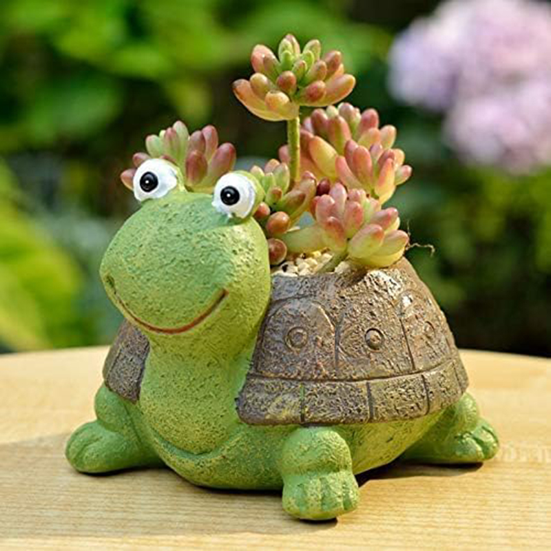 Bonsai Garden Desk - User inière de tortue bonsaï succulente,