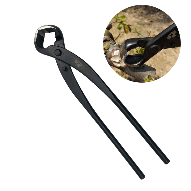 Bonsai Tool Set - Pince coupante de bord Concave, coupe-bouton