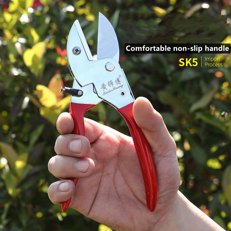 Bonsai Tool Set - Sécateur de jardin manuel en acier