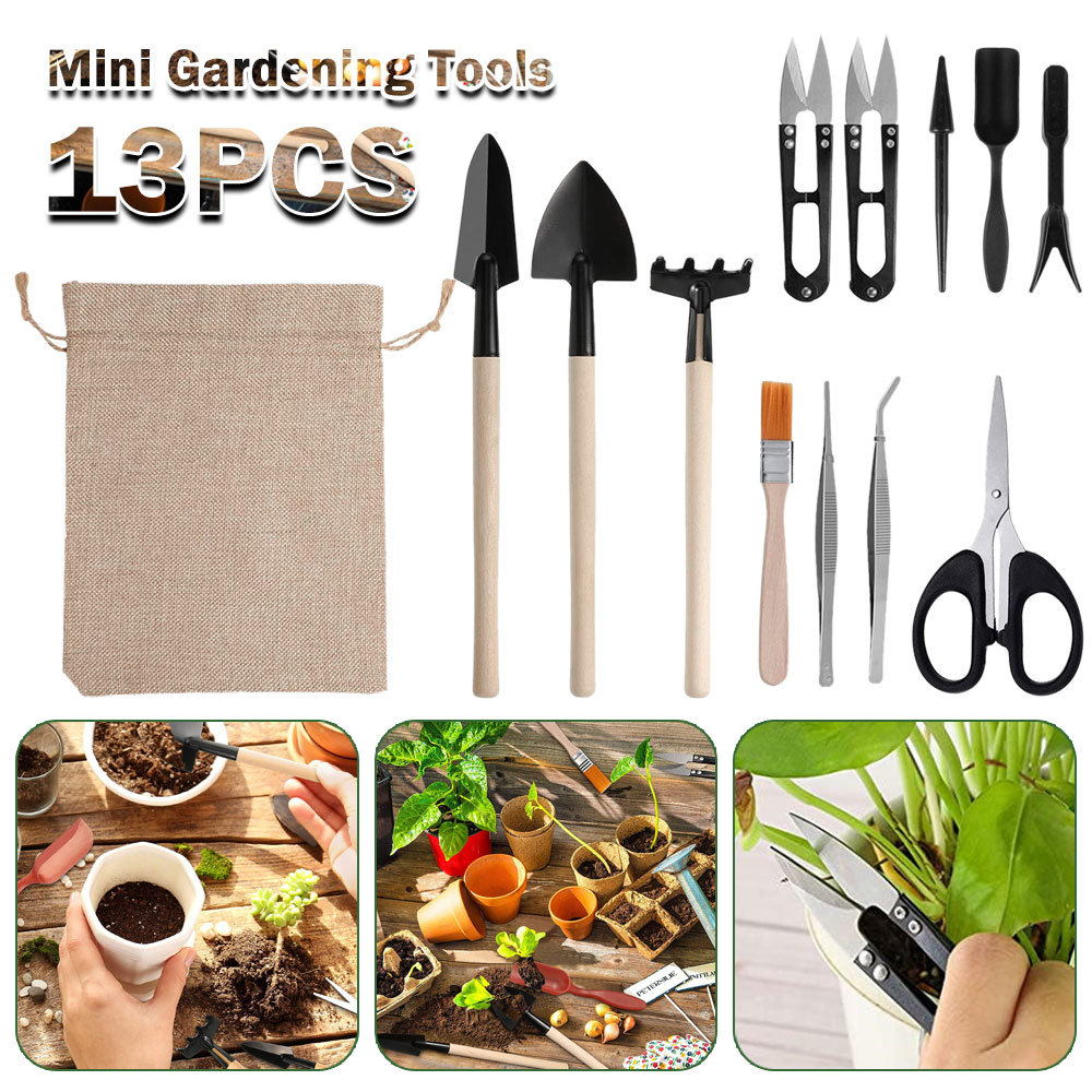 Bonsai Tool Set - Outils pour plantes succulentes, Mini outils