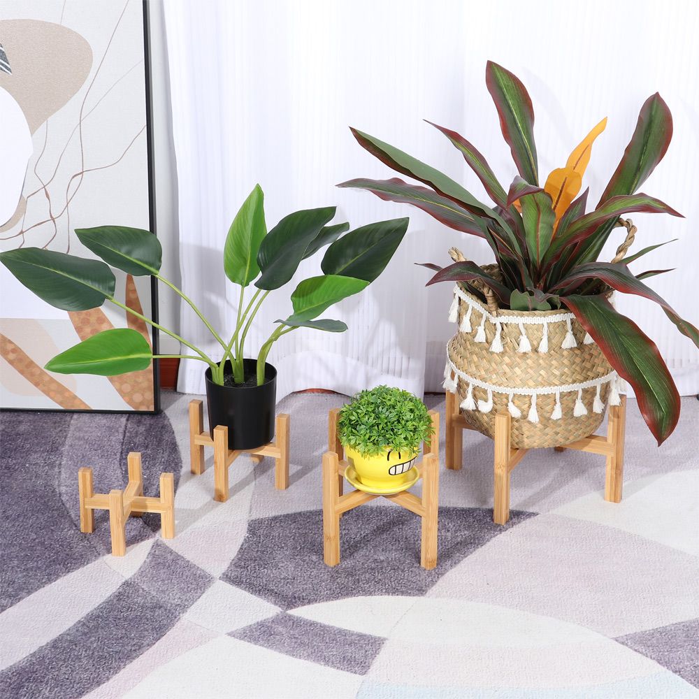 Bambou intérieur extérieur déc - Bonsai Garden Display Stands avis et prix
