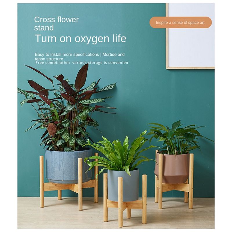 Support d'affichage pour bonsa - Bonsai Garden Display Stands avis et prix