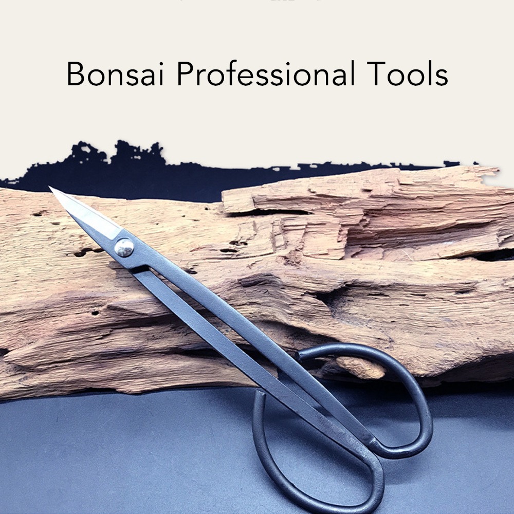 Ciseaux à bonsaï en acier inox - Bonsai Tool Set avis et prix