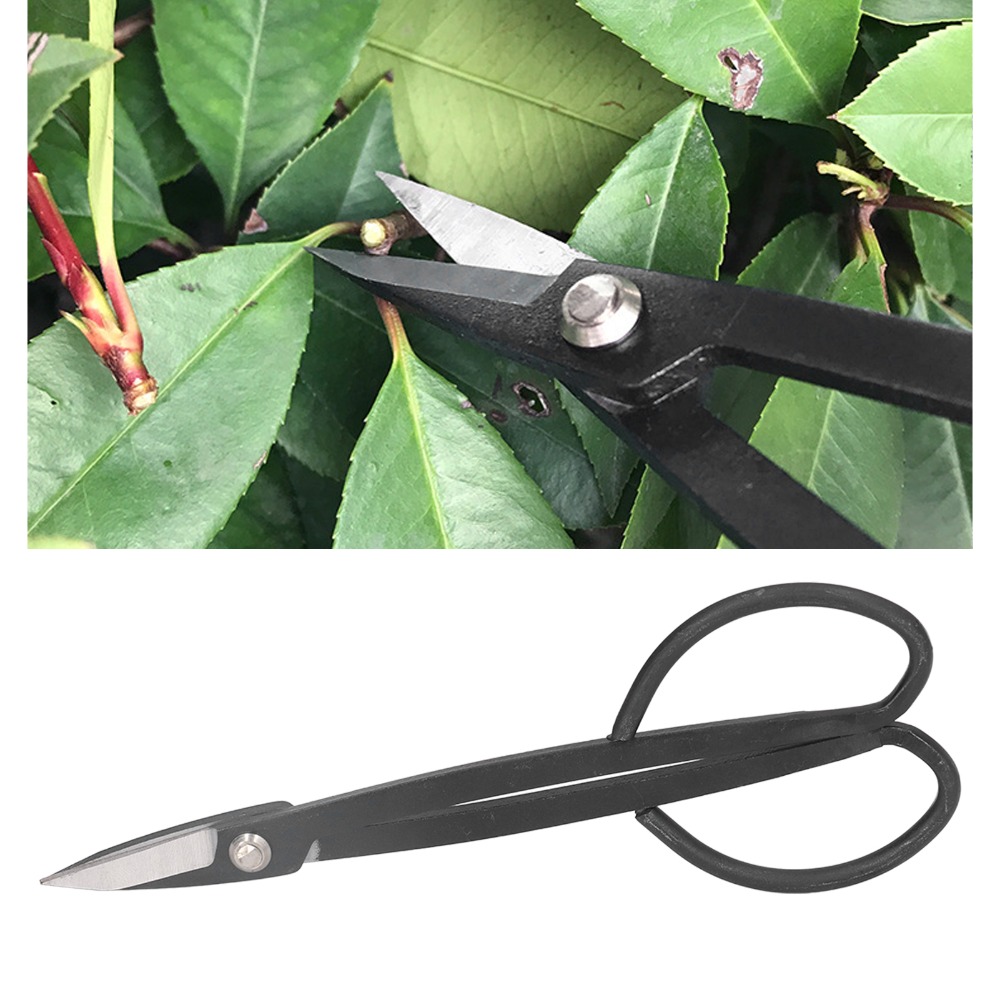 Ciseaux à bonsaï en acier inox - Bonsai Tool Set avis et prix