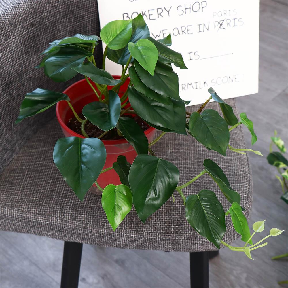 Décoration de bureau et de jar - Bonsai Garden Desk avis et prix