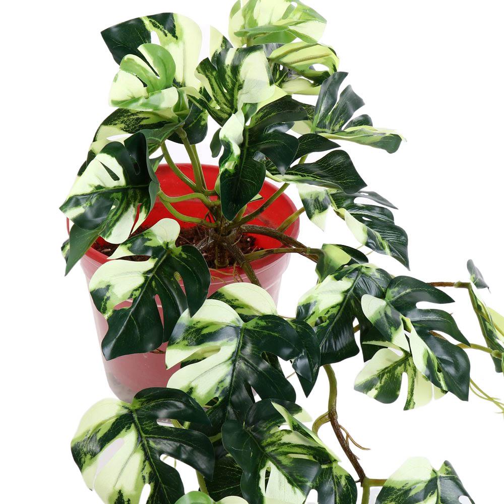 Décoration de bureau et de jar - Bonsai Garden Desk avis et prix