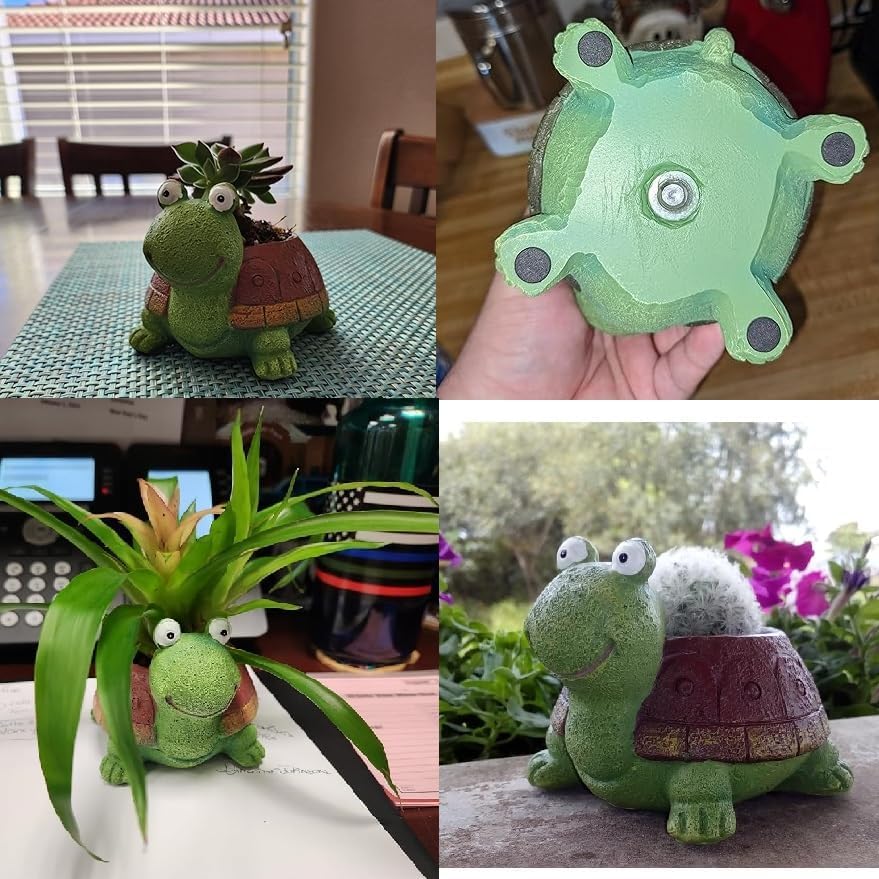 User inière de tortue bonsaï s - Bonsai Garden Desk avis et prix