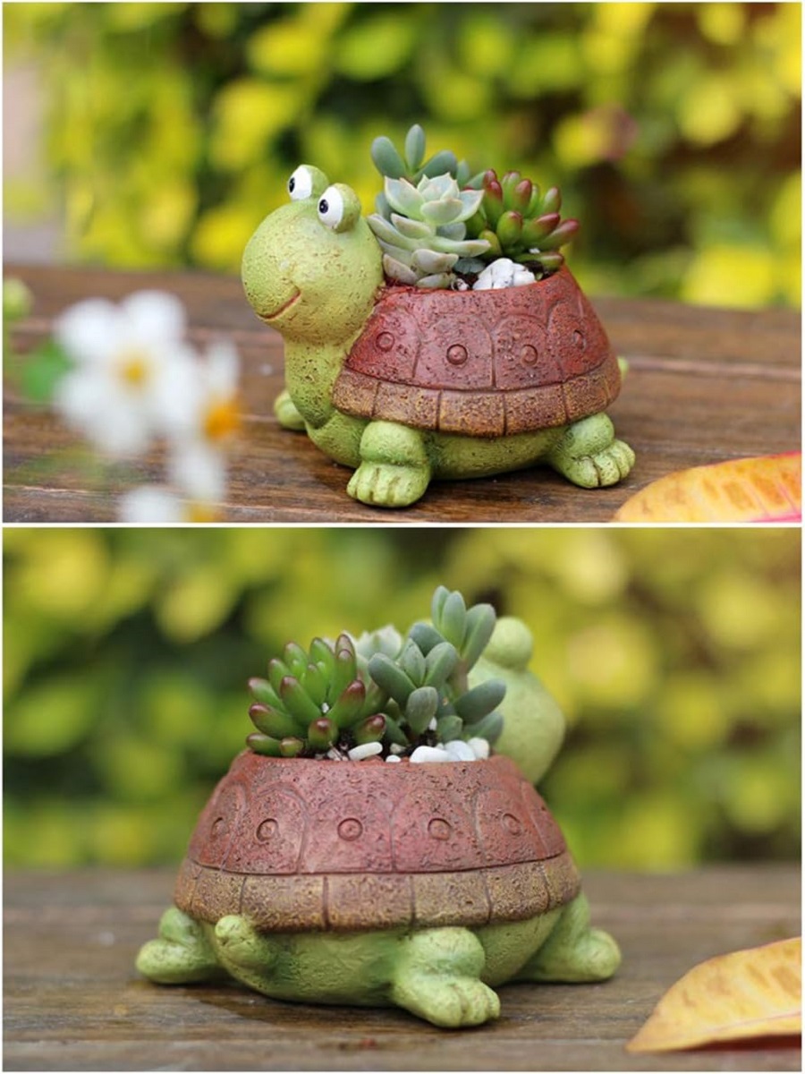 User inière de tortue bonsaï s - Bonsai Garden Desk avis et prix