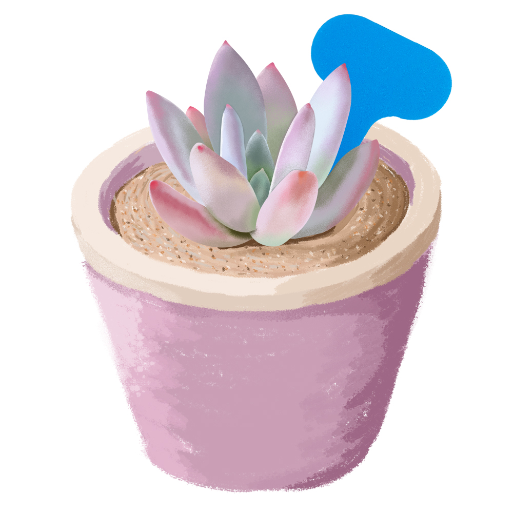 Étiquettes pour plantes de jar - Bonsai Garden Ticket avis et prix