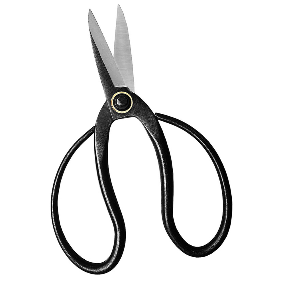 Ciseaux à bonsaï professionnel - Bonsai Tool Set avis et prix