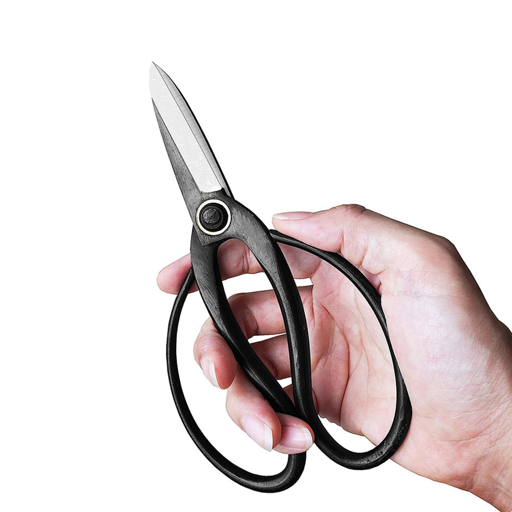 Ciseaux à bonsaï professionnel - Bonsai Tool Set avis et prix