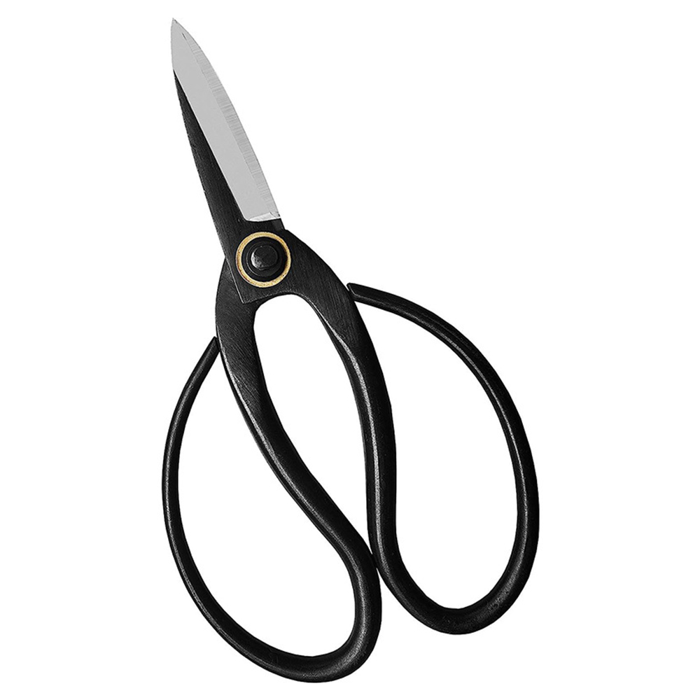 Ciseaux à bonsaï professionnel - Bonsai Tool Set avis et prix