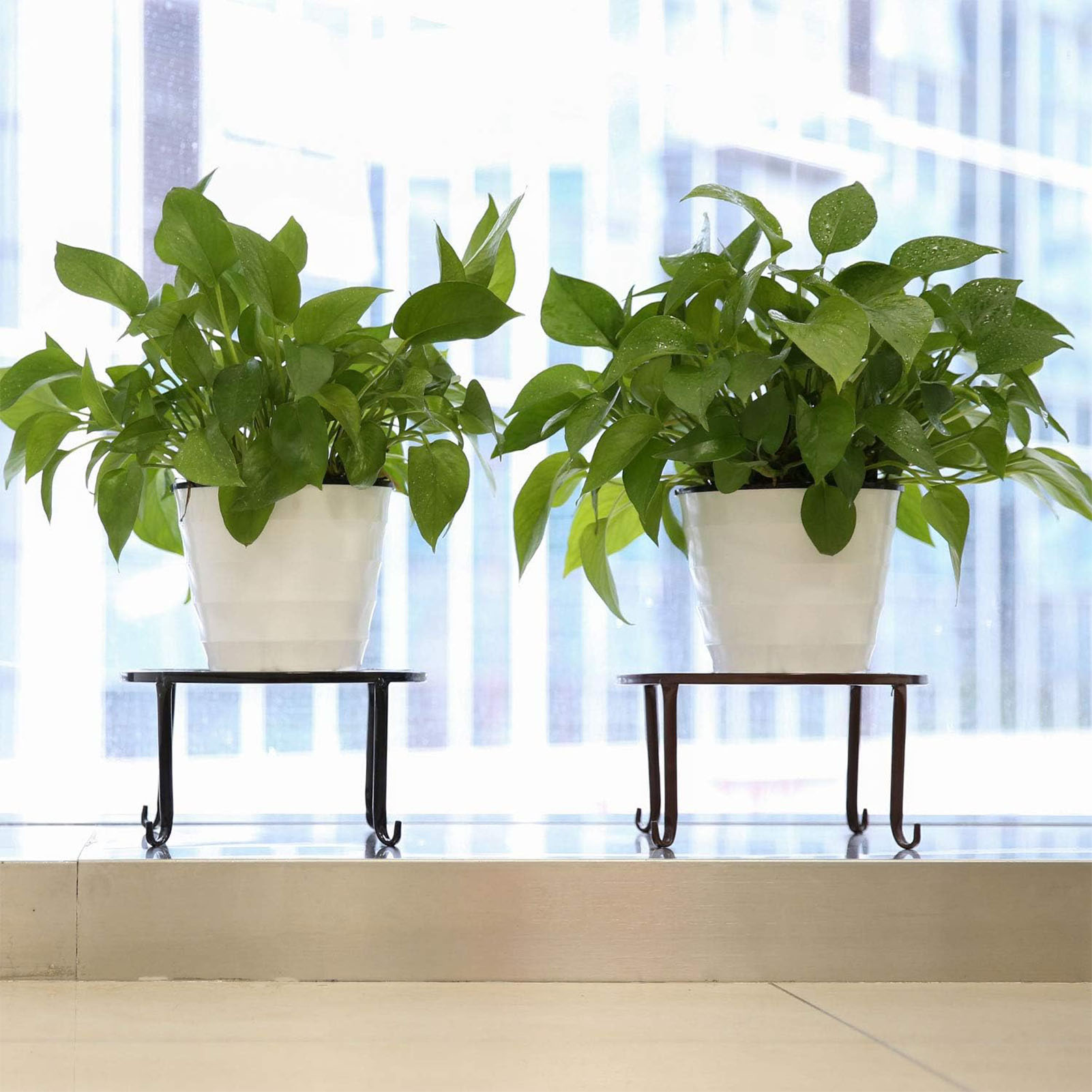 Support de plante en métal, 1  - Bonsai Garden Display Stands avis et prix