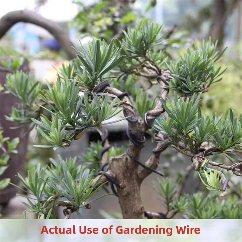 Fils de bonsaï en aluminium de - Bonsai Wire Aluminum avis et prix