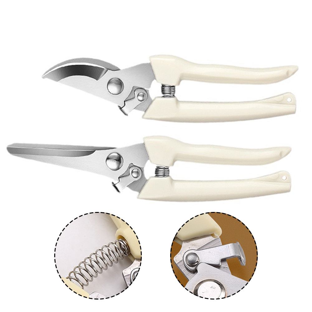 Sécateur en acier inoxydable p - Bonsai Tool Set avis et prix