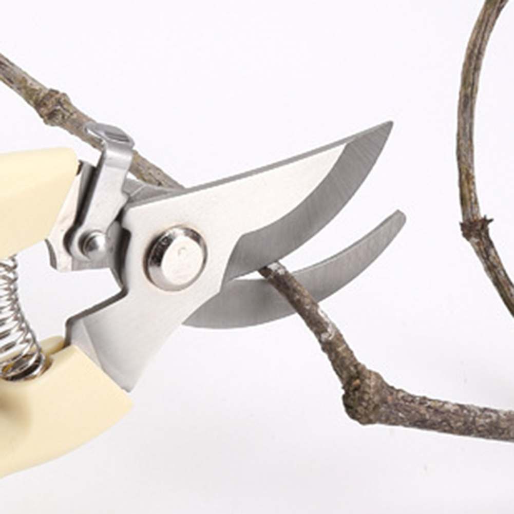Sécateur en acier inoxydable p - Bonsai Tool Set avis et prix