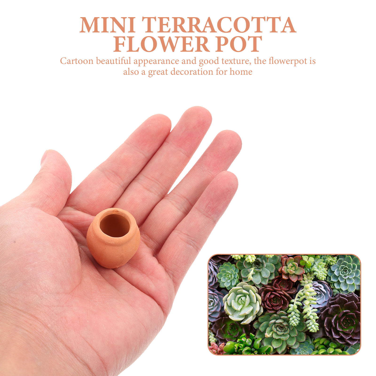 Ensemble de 8 mini pots en cér - Bonsai Garden Desk avis et prix