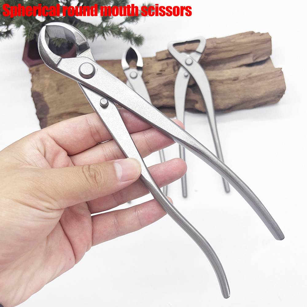 Trois modèles de cisailles à b - Bonsai Tool Set avis et prix