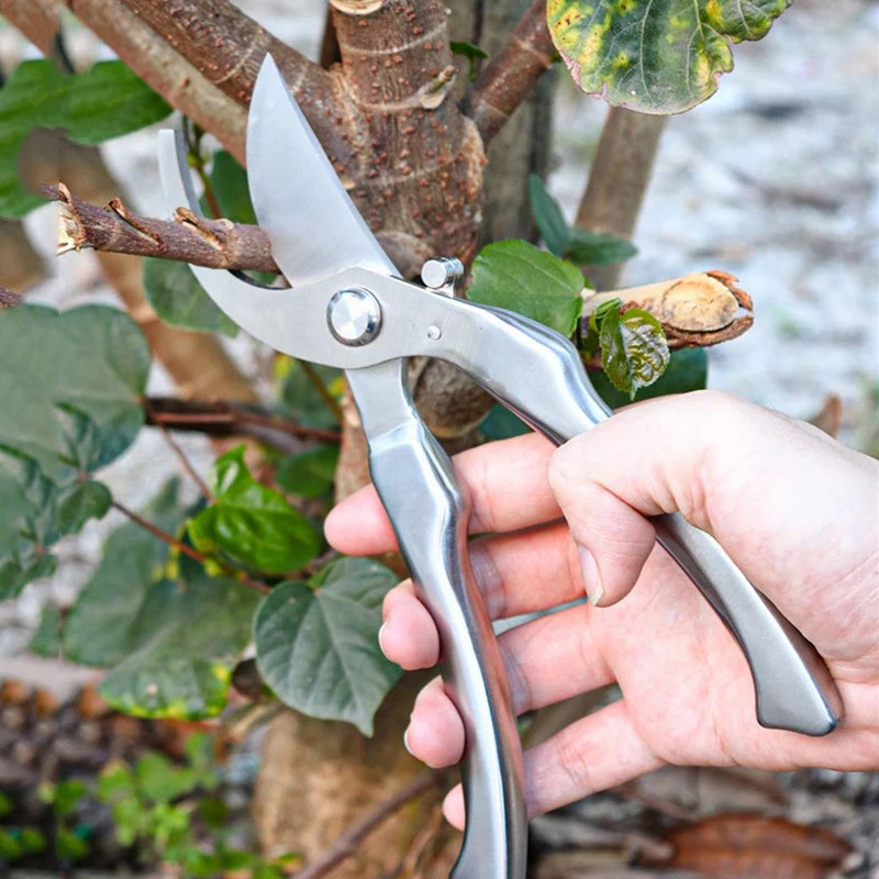 Sécatrices de jardinage profes - Bonsai Tool Set avis et prix