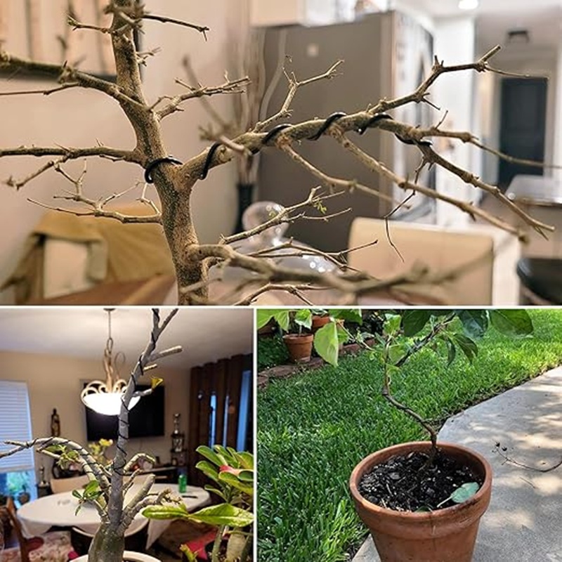 Fil de bonsaï en aluminium noi - Bonsai Wire Aluminum avis et prix