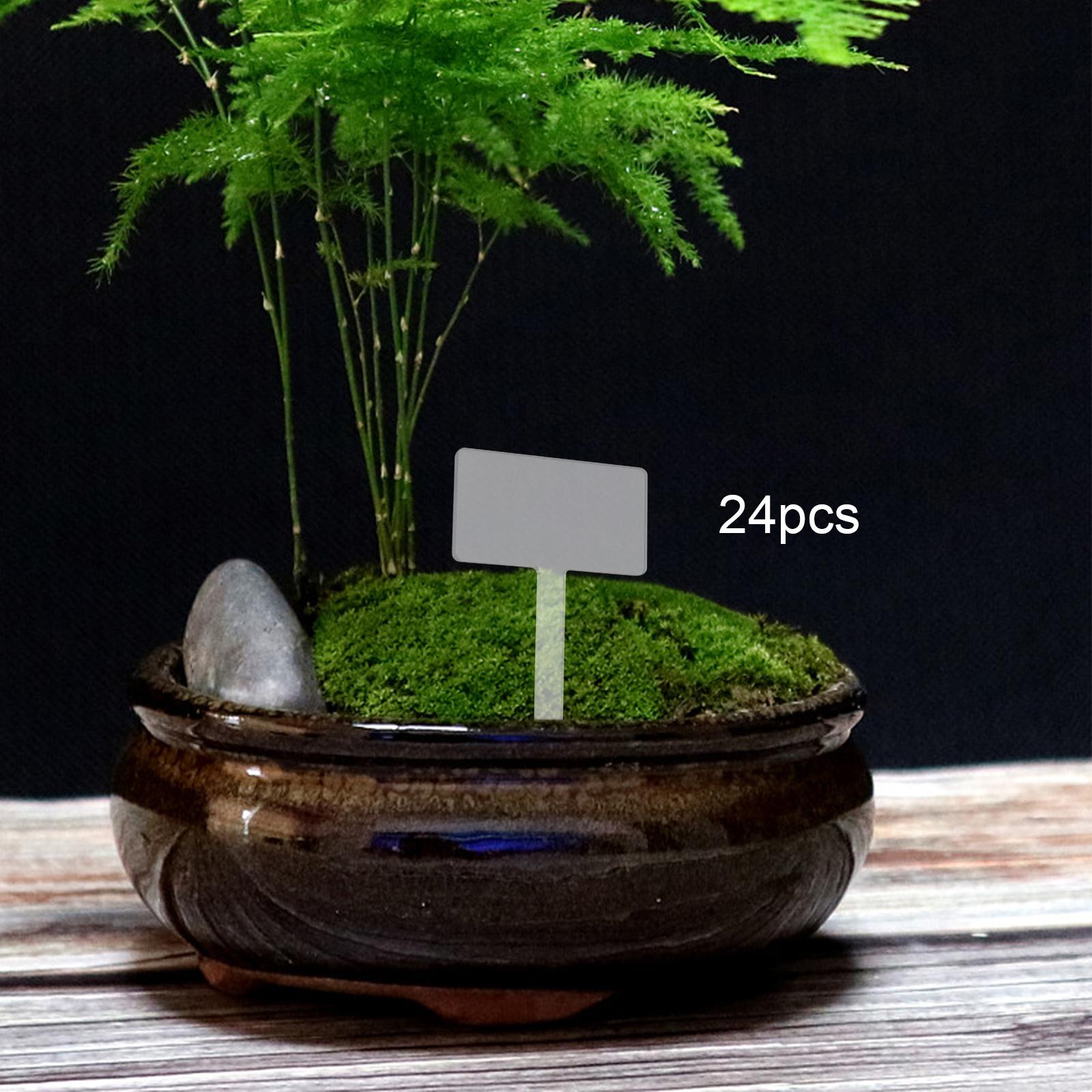 24x Étiquettes de plantes en a - Bonsai Garden Name avis et prix
