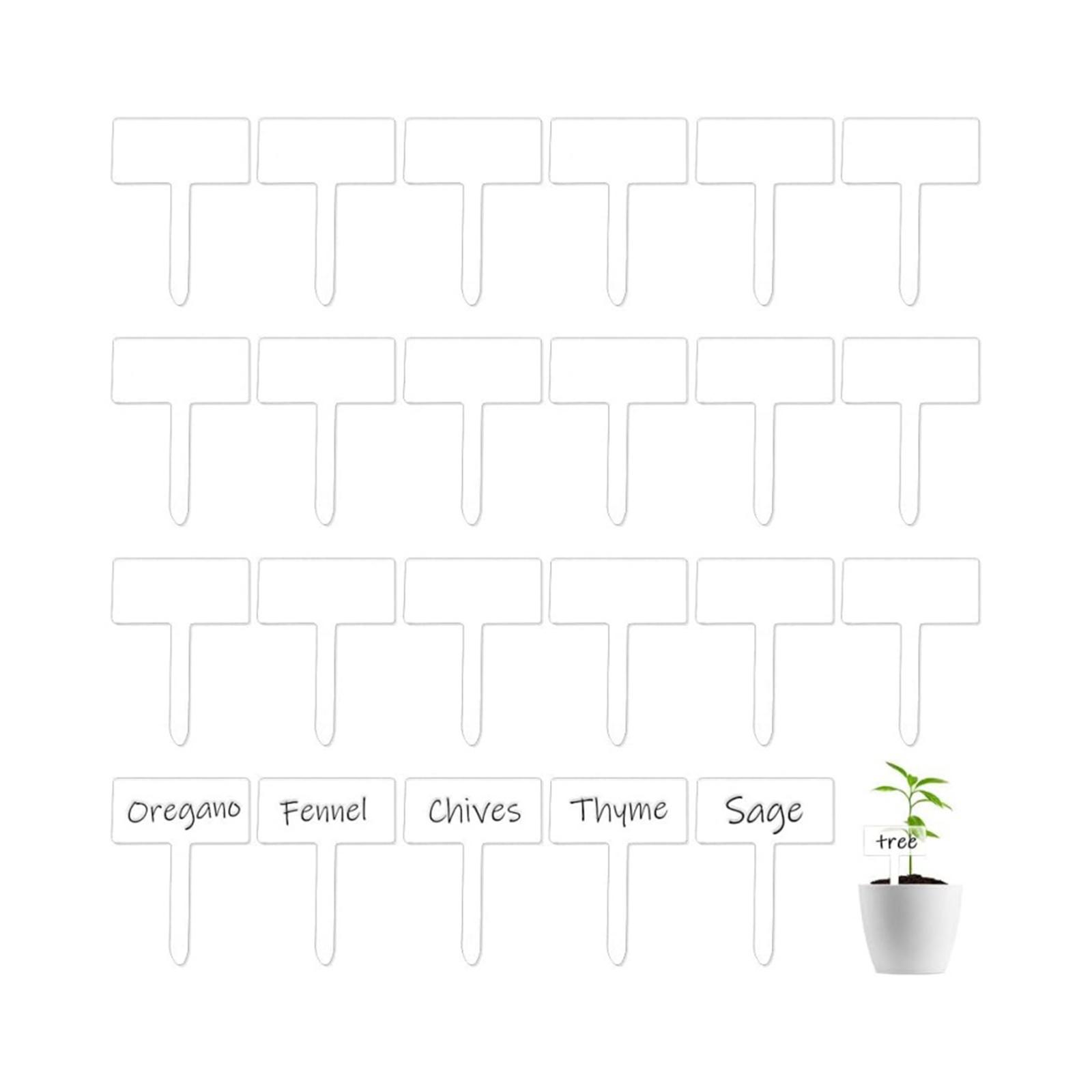 24x Étiquettes de plantes en a - Bonsai Garden Name avis et prix
