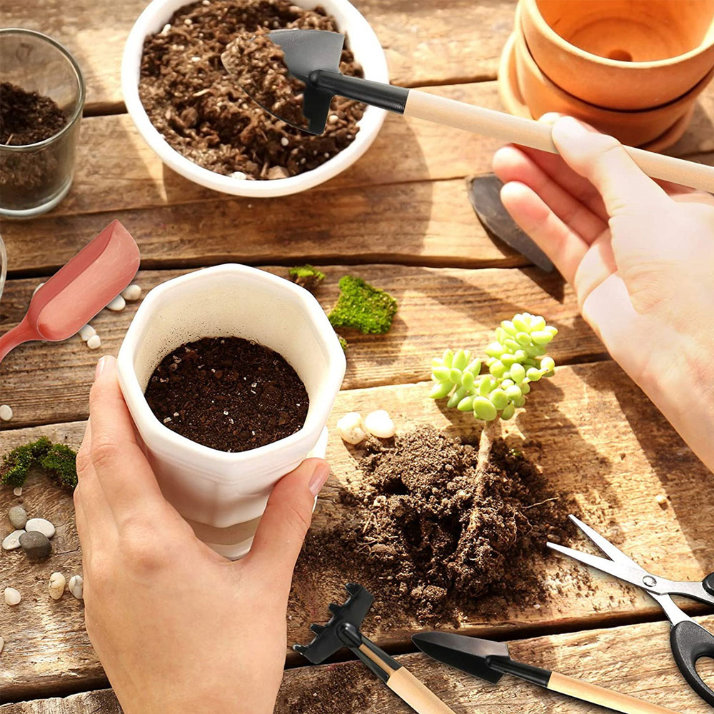 Outils pour plantes succulente - Bonsai Tool Set avis et prix